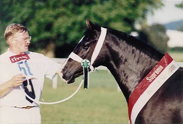 Emily - International Cob champion 1994