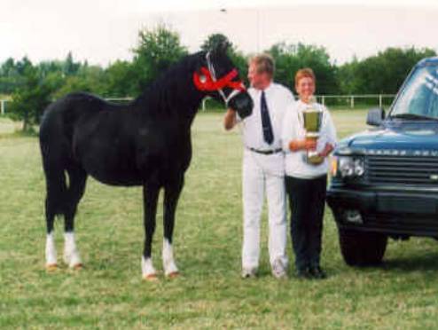 Hillary - Best In Show Pegasus show 2000