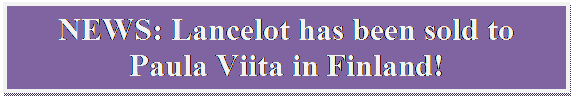 Tekstboks: NEWS: Lancelot has been sold to Paula Viita in Finland!